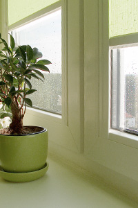 Rollo am Fenster Rollo